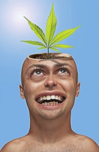 cannabis head